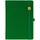 Ежедневник недатированный Favor Gold А5, ярко-зеленый фото