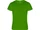 Футболка мужская Camimera, темно-зеленая фото