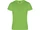 Футболка мужская Camimera, зеленая фото
