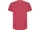 Футболка мужская хлопковая Roly Stafford, красная фото