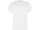 Футболка мужская Roly Slam, белая фото