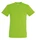 Футболка мужская Sol's Regent 150, светло-зеленая фото