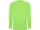 Оптом Лонгслив детский Roly Extreme, салатовый для нанесения логотипа или надписи Лонгслив детский Roly Extreme, салатовый фото