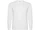 Оптом Лонгслив мужской Roly Pointer, белый для нанесения логотипа или надписи Лонгслив мужской Roly Pointer, белый фото