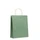 Пакет подарочный средний Paper Tone, 90 г/м², зеленый фото