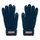 Перчатки тактильные сенсорные, синие фото
