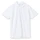 Оптом Рубашка поло мужская Sol's Spring 210, белая для нанесения логотипа или надписи Рубашка поло мужская Sol's Spring 210, белая фото
