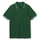 Футболка поло мужская Unit Virma Stripes, темно-зеленая фото