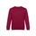 Свитшот TH Clothes Delta 300, бордовый Свитшот TH Clothes Delta 300, бордовый фото