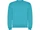 Оптом Свитшот детский с начесом Roly Clasica, бирюзовый для нанесения логотипа или надписи Свитшот детский с начесом Roly Clasica, бирюзовый фото