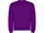 Свитшот детский с начесом Roly Clasica, фиолетовый фото