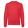 Свитшот с начесом Fruit of the Loom Classic Set-in Sweat, красный фото