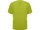 Топ мужской Roly Ferox, салатовый фото