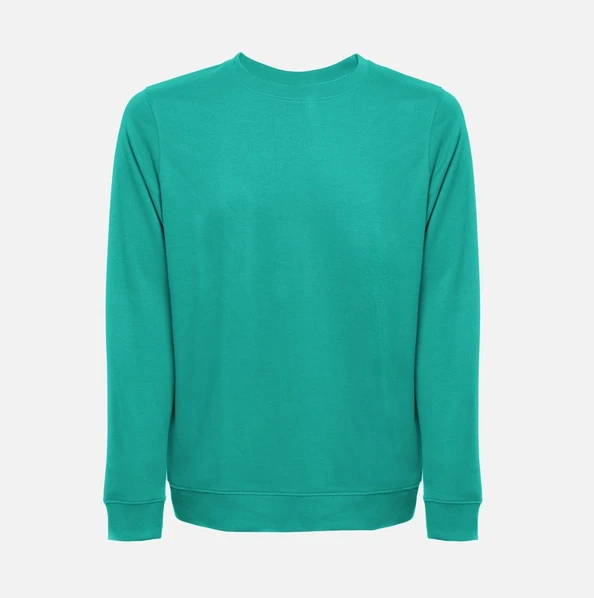 Свитшот унисекс TH Clothes Colombo, зеленый - фото № 1 Свитшот унисекс TH Clothes Colombo, зеленый - фото № 1