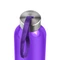 Бутылка для воды Verona Pet Color, 550 мл, фиолетовая фото