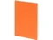 Бизнес-тетрадь Bruno Visconti Pragmatic А4, оранжевая фото