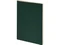 Бизнес-тетрадь Bruno Visconti Pragmatic А4, зеленая фото