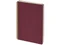 Бизнес-тетрадь Bruno Visconti Pragmatic А5, бордовая фото