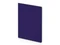 Бизнес-тетрадь Bruno Visconti Pragmatic Contrast А5, фиолетовая фото