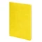 Ежедневник недатированный Enote FunkyPlan А5, блок-линейка, желтый / серый фото