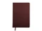 Ежедневник недатированный Bruno Visconti Loft А5, бордовый фото