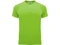 Футболка мужская Bahrain, салатовая фото