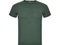 Футболка мужская Fox, зеленая фото