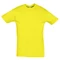 Оптом Футболка мужская Sol's Regent 150, лимонная для нанесения логотипа или надписи Футболка мужская Sol's Regent 150, лимонная фото