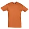 Оптом Футболка мужская Sol's Regent 150, оранжевая для нанесения логотипа или надписи Футболка мужская Sol's Regent 150, оранжевая фото