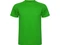 Футболка мужская Roly Montecarlo, зеленая фото