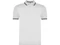 Футболка поло мужская Roly Montreal, белая / черная фото