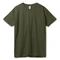Футболка унисекс Sol's Regent 150, темный хаки фото