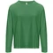 Футболка с длинным рукавом женская Sol's Monarch Women, ярко-зеленая фото