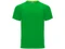 Оптом Футболка спортивная Roly Monaco, зеленая для нанесения логотипа или надписи Футболка спортивная Roly Monaco, зеленая фото