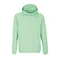 Худи Sol's Condor, светло-зеленое фото