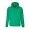 Худи Sol's Condor, зеленое фото