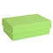 Коробка картонная Rusgifts Color, салатовая фото