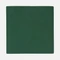 Лейбл Listra Latte, L, зеленый Лейбл Listra Latte, L, зеленый фото