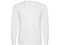 Лонгслив мужской Roly Pointer, белый фото