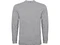 Лонгслив мужской Roly Pointer, серый фото