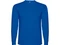 Лонгслив мужской Roly Pointer, синий фото