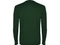Лонгслив мужской Roly Pointer, зеленый фото