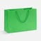 Оптом Пакет бумажный Ample Thin M, светло-зеленый для нанесения логотипа или надписи Пакет бумажный Ample Thin M, светло-зеленый фото