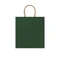 Пакет подарочный бумажный Haya, зеленый фото