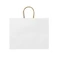 Пакет подарочный бумажный Maple, белый фото