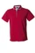 Поло мужское JRC Rodi Man 180, красное / голубое фото