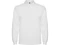 Оптом Рубашка-поло мужская с длинным рукавом Roly Estrella, белая для нанесения логотипа или надписи Рубашка-поло мужская с длинным рукавом Roly Estrella, белая фото