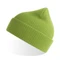 Шапка в рубчик с отворотом Atlantis Nelson, зеленое яблоко фото