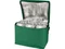 Оптом Сумка-холодильник из переработанного полиэстера Spectrum, зеленая для нанесения логотипа или надписи Сумка-холодильник из переработанного полиэстера Spectrum, зеленая фото