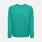 Свитшот унисекс TH Clothes Colombo, зеленый Свитшот унисекс TH Clothes Colombo, зеленый фото